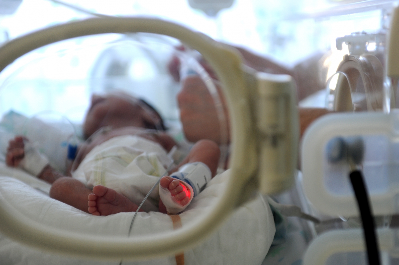 Infant in hospital incubator