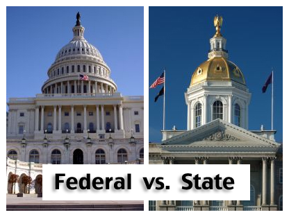 State and Federal Government