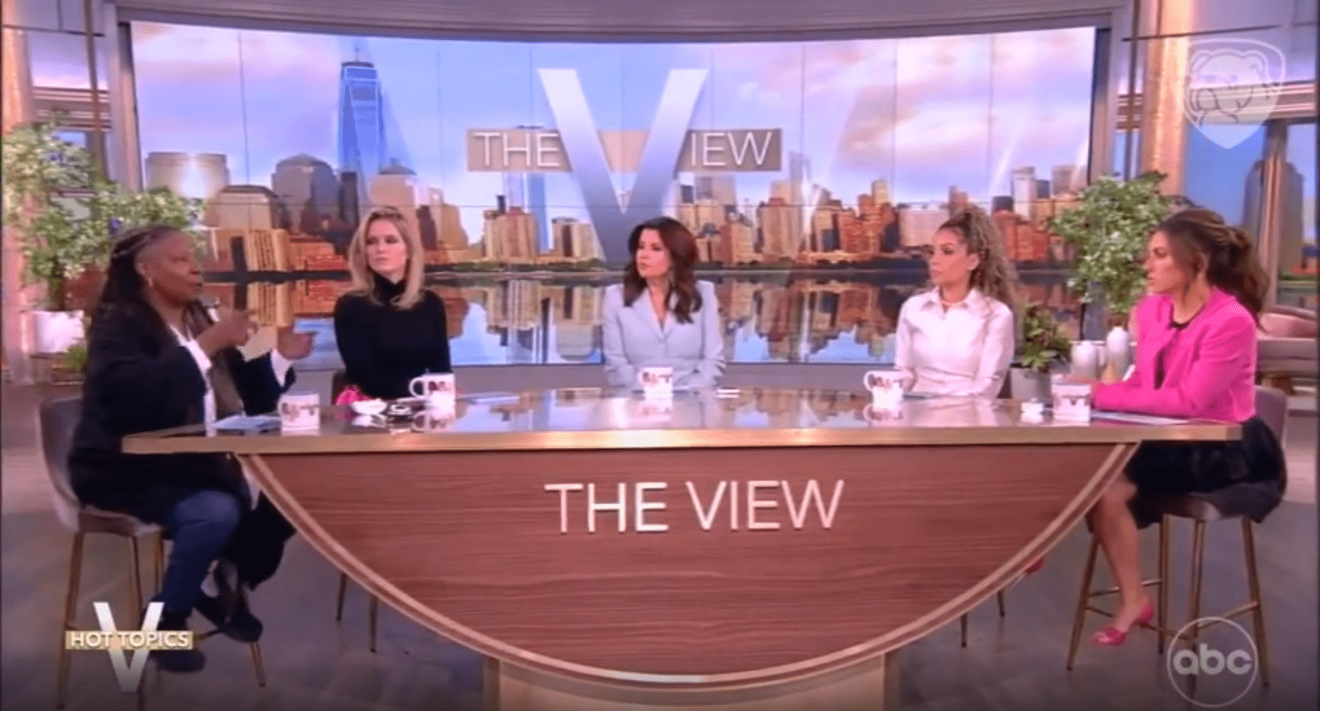 Whoopi The View