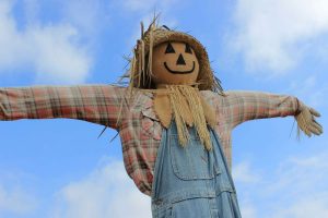Straw Man